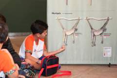 IMG-4800